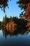 Autumn: Bald cypresses reflected in a lake