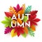 Autumn banner background with paper fall leaves. Vector illustration