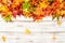 Autumn banner Colorful leaves wooden background