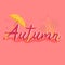 Autumn banner flat vector template