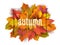 Autumn banner. Leaves background. Card with realistic orange red yellow leaves. Autumn bouquet vector illustration