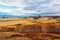 Autumn Bashang grassland birch forest