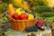 Autumn basket full of pumpkins other vegetables and fruits