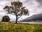 Autumn on Bassenthwaite lake