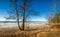 Autumn on the beach