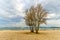 Autumn at the beach - Vigo