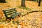 Autumn bench