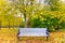 Autumn bench