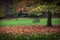 An Autumn bench at Clyne Gardens