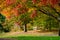 Autumn Bench on Cornell University`s Campus