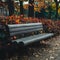 Autumn bench in park showcases textured surface amidst seasonal foliage