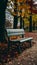 Autumn bench in park showcases textured surface amidst seasonal foliage