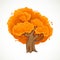 Autumn big tree with orange foliage vector drawing on white background