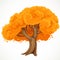 Autumn big tree with orange lush foliage vector drawing on white background