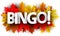 Autumn bingo sign with color maple leaves