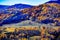 The autumn birches on the hill