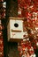 Autumn Birdhouse on a tree in the spring forest. House for starlings. Wooden white nesting box
