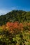 Autumn at Black Balsam, Pisgah National Forest