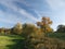 Autumn blue sky line trees green nature outside landscape