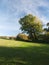 Autumn blue sky line trees green nature outside landscape