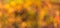 Autumn blurred abstract background