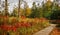 Autumn Boardwalk