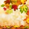 Autumn bokeh background bordered with leaves