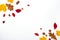 Autumn border made of  fall leaves on white background. Flat lay, top view. Copy space for seasonal promotions