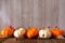 Autumn border of orange and white pumpkins and berries, side view against a gray wood background