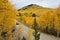 Autumn at Boreas Pass