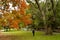 Autumn at Boston Common