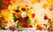 Autumn bouquet of beautiful flowers and berries in a pumpkin on wooden white table. Concept of autumn festive decoration for