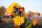 Autumn bouquet calendula evening garden petals