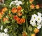 Autumn bouquet of roses close-up chrysanthemum aster.