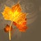 Autumn bright background with yellow leaves and place for your place. Autumn mood.