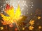 Autumn bright background with yellow leaves and place for your place. Autumn mood.