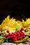 Autumn bunch of viburnum with yellow leaves, selective focus