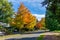 Autumn Burien Street 2