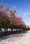 Autumn. Burley Griffin Lake. Canberra. Australia