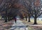 Autumn. Burley Griffin Lake. Canberra. Australia