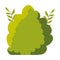 Autumn bush plant seasonal icon