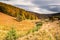 Autumn in Cairngorms National Park