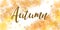 =Autumn calligraphy. Seasonal lettering.web banner template.vector illustration