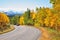 Autumn in Canada. The road abruptly turns