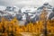 Autumn in Canadian Rockies with beautiful views of yellow larches