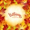 Autumn card, colorful leaves and handwritten lettering, background, template, illustration