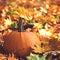 Autumn card with pumpkin. Beautiful autumn composition in park. Autumn season. Thanksgiving Day. Autumn holiday. Big orange pumpki