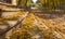 Autumn carpet of yellow leaves on the porch of the old school