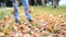 Autumn, a child kicks yellow, fallen leaves.