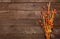 Autumn Chinese lantern branch and leaves in a bunch against a rustic wood background